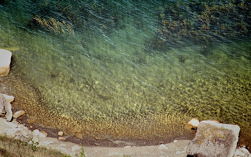 Бакотський залив