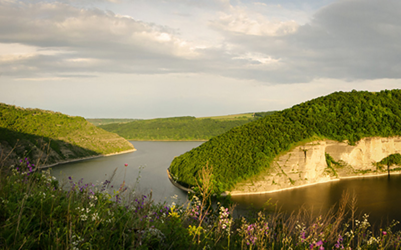 Дністер. Устя ріки Тарнава