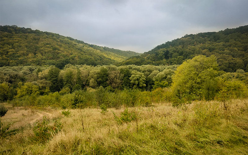 Суржинецкий Яр